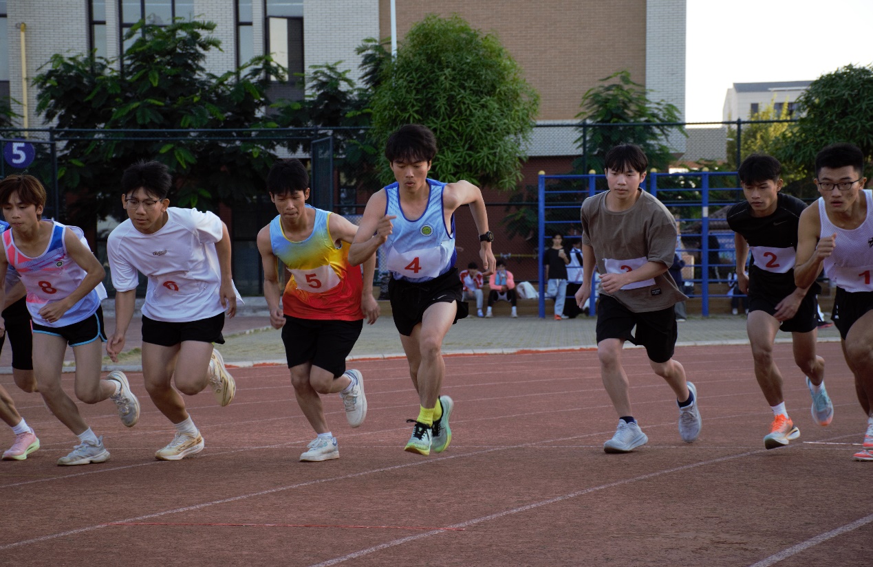 d04943de678d40adbed8a30a09e914f3.jpg
