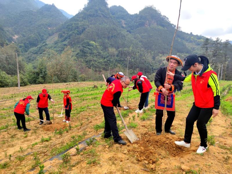 E:\u684c面\u7476族群众与各民族群众同植一棵树.jpg