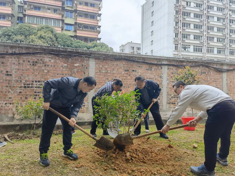 植树现场0.jpg
