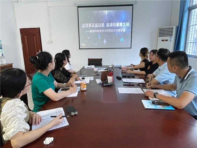 党日活动观看廉洁电教片.jpg
