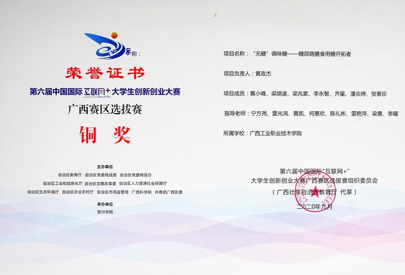 第六届中国国际“互联网+”大学生创新创业大赛广西赛区选拔赛铜奖