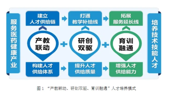 教学成果奖一等奖｜“产教联动、研创双驱、育训融通”—系统化培养技术技能人才的创新实践