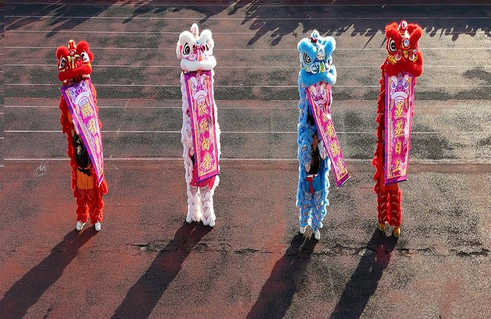 图片4