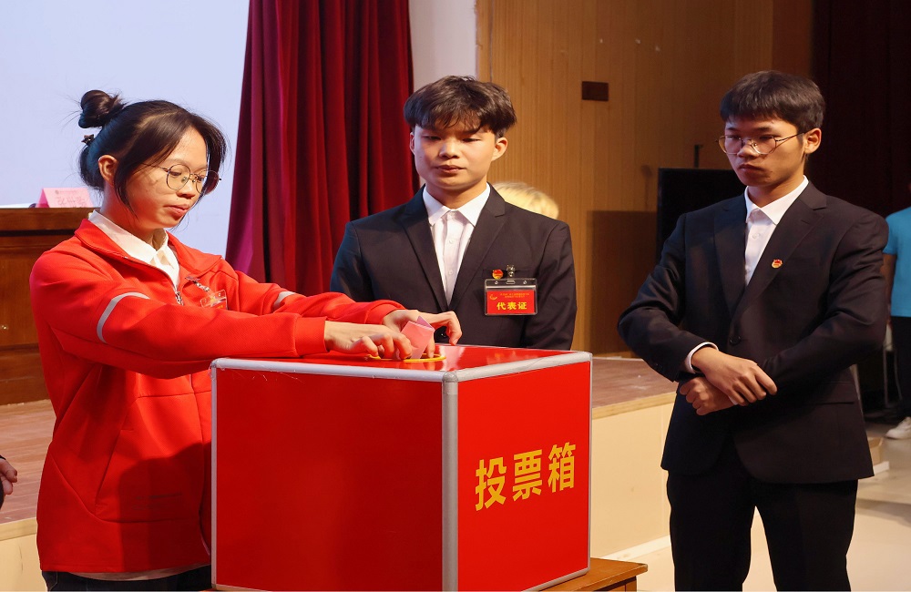 团员代表投票