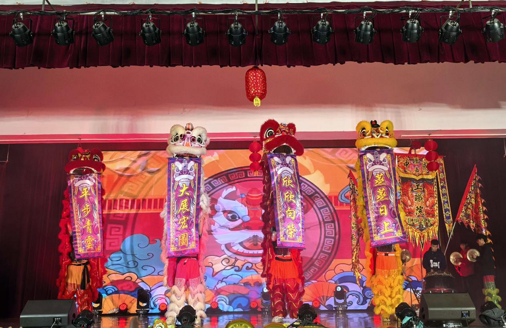 图片5