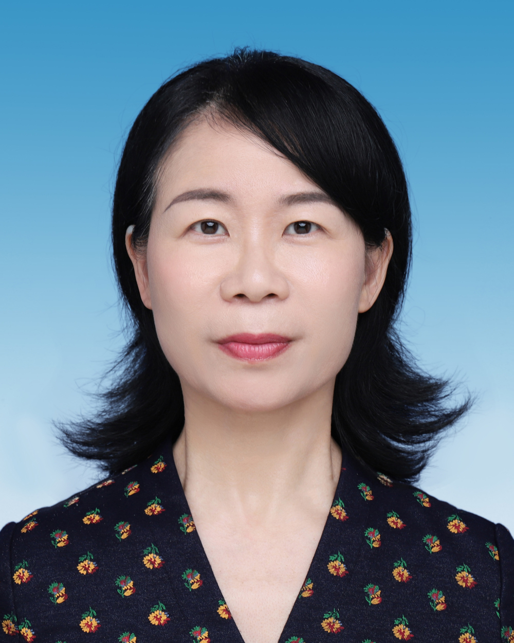 党团管理团队