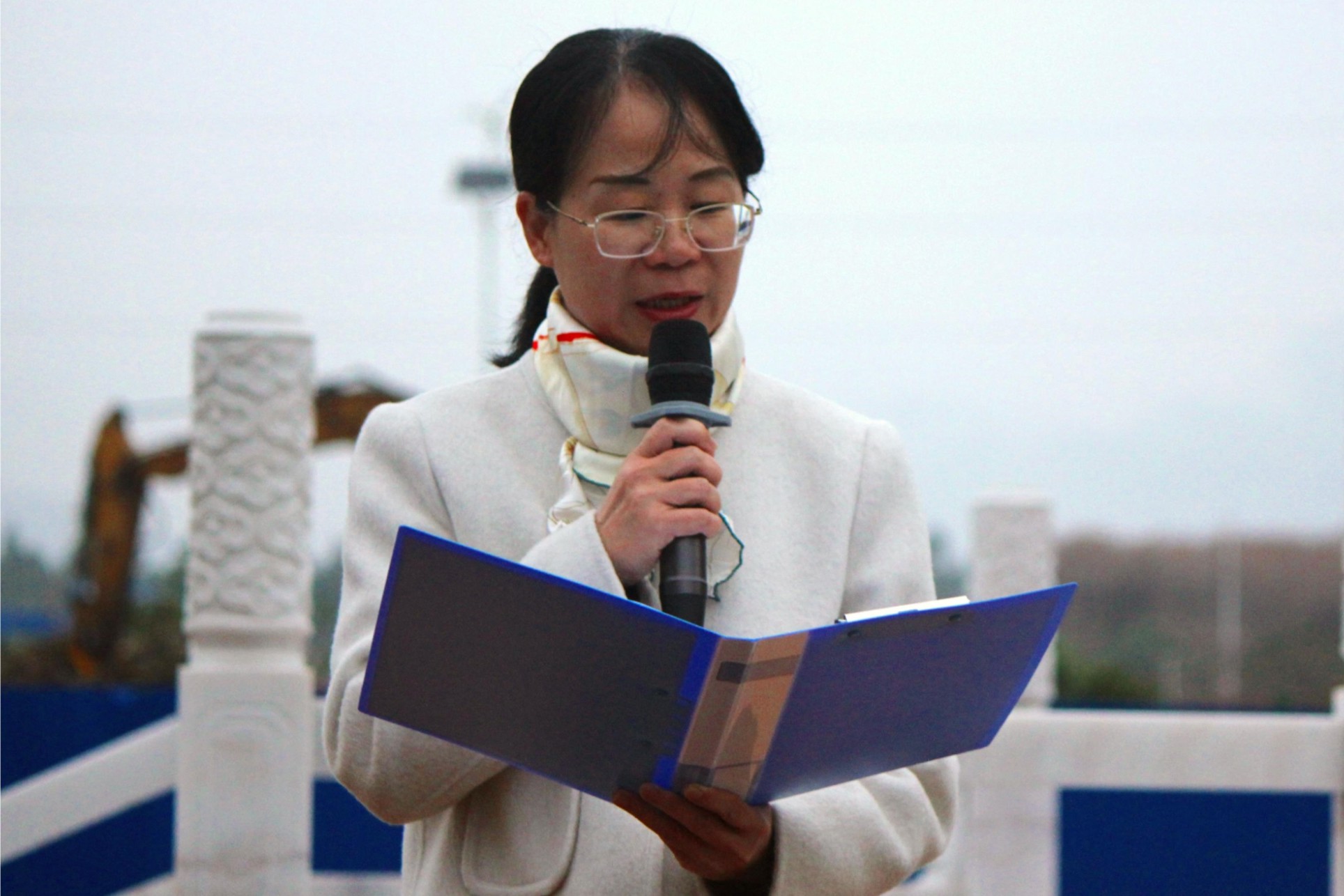 图二：潘丽莎书记讲话