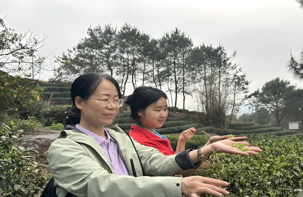《茶香四溢·心随叶动》幼师教育学院/轻工纺织学院（筹）劳动教育主题活动
