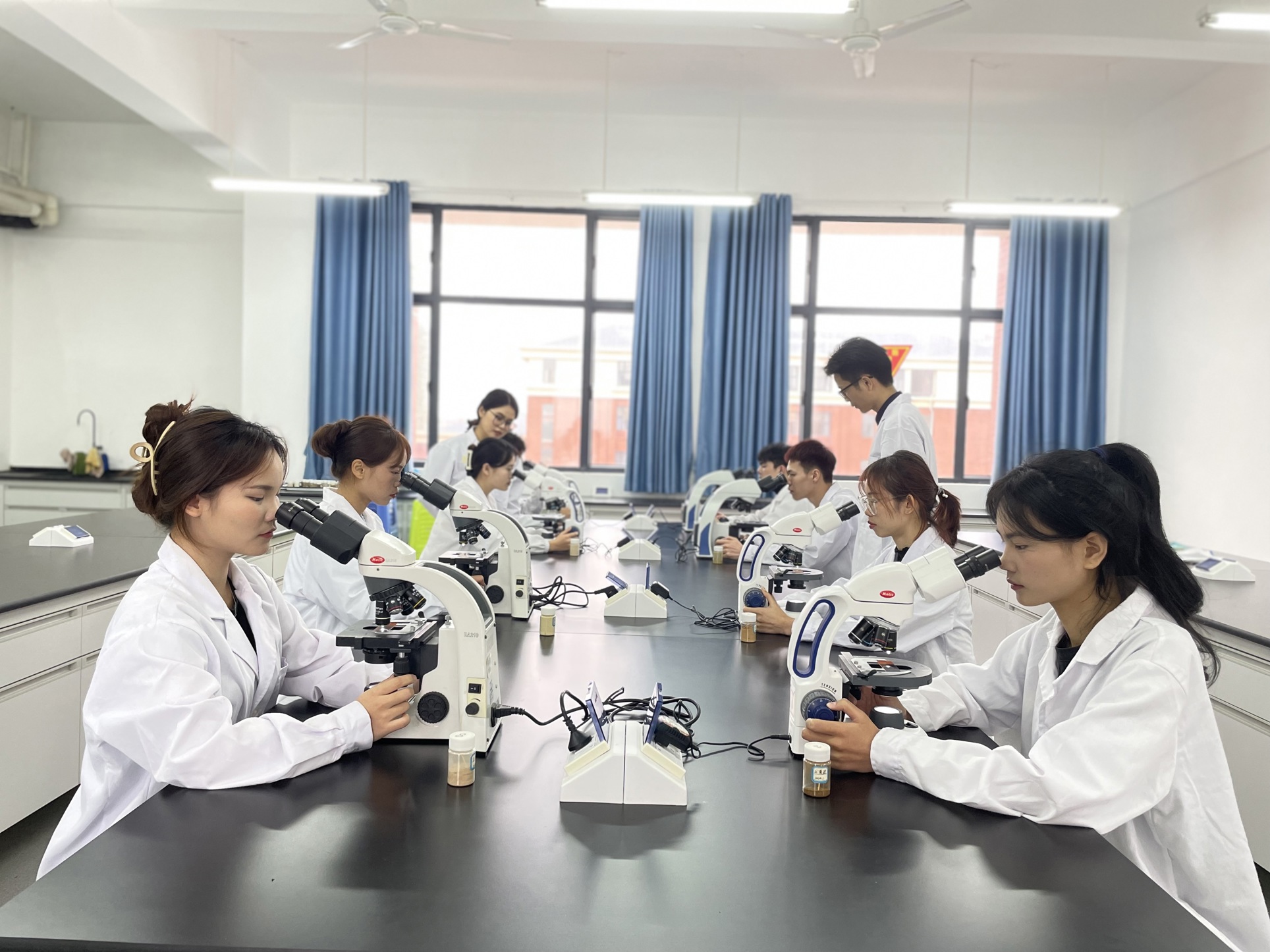 中药显微鉴定实操