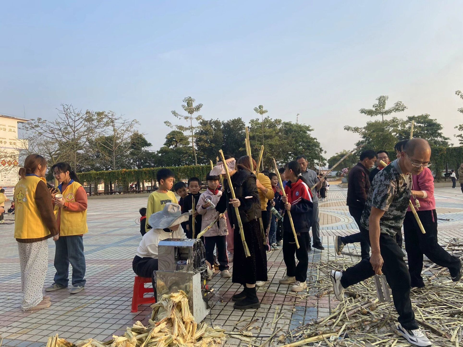 装备智造学院与庆乐小学联合举办砍甘蔗劳动实践活动